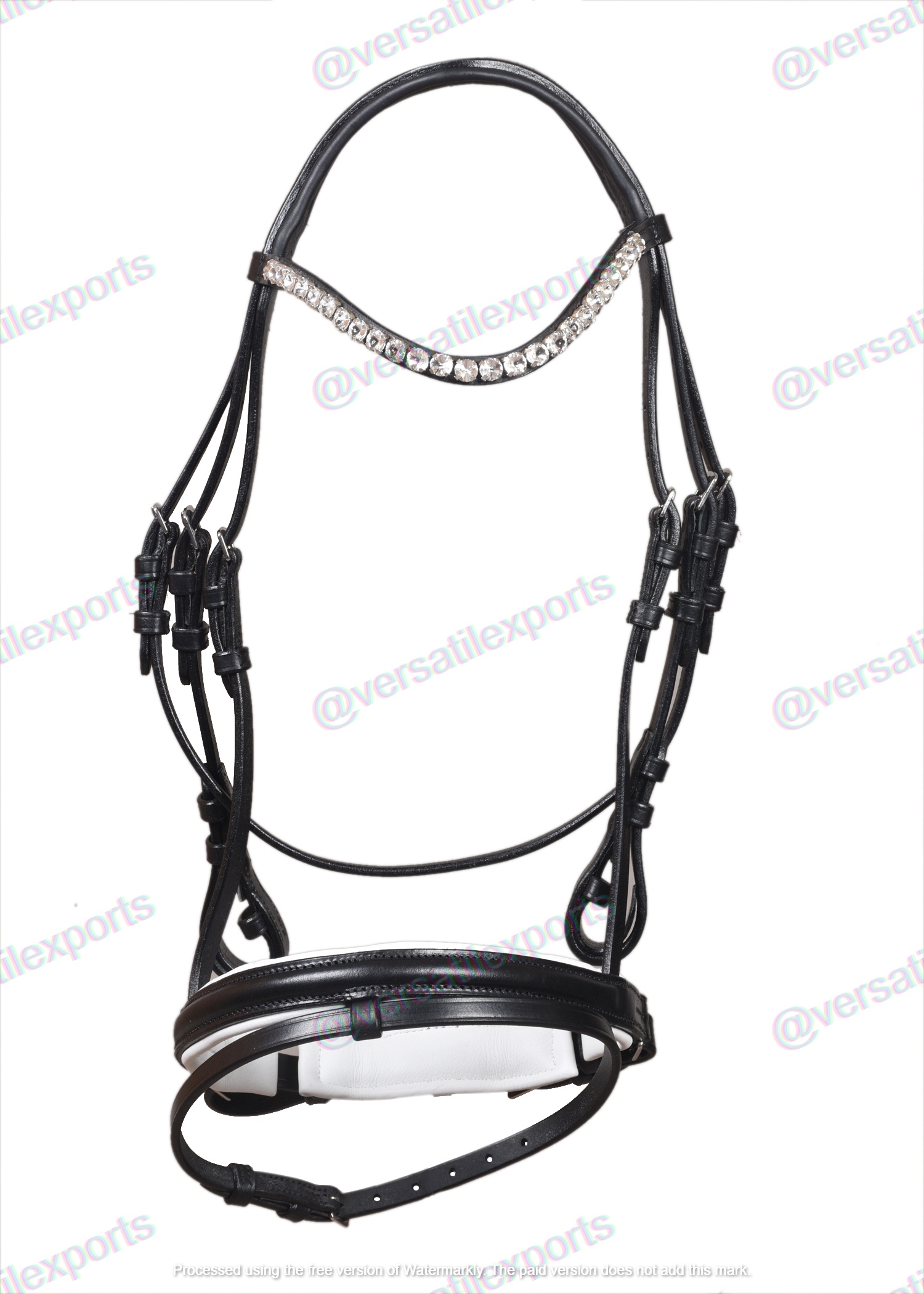 Bridle with White Padding